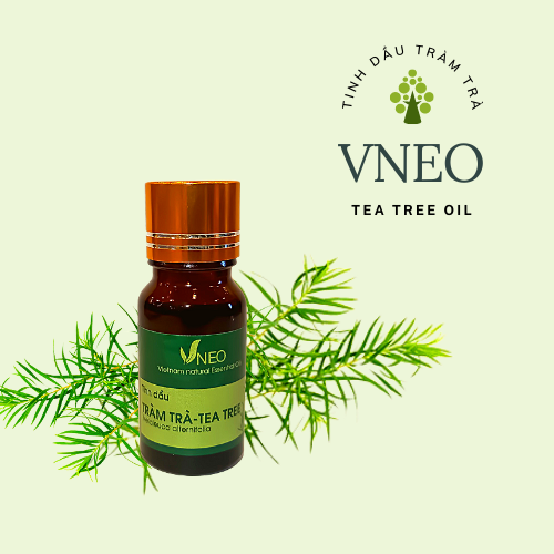 TOP 4 các loại tinh dầu tràm trà trị mụn tốt nhất hiện nay