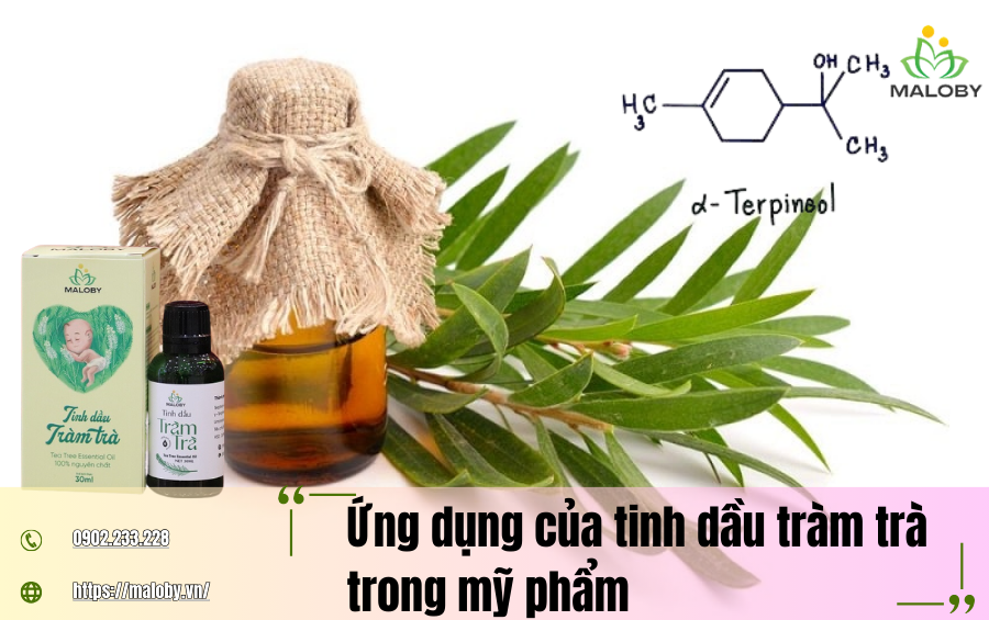Ứng dụng của tinh dầu tràm trà trong mỹ phẩm