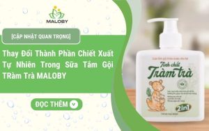 Cập Nhập Quan Trọng Sữa Tắm Tinh Chất Tràm Trà