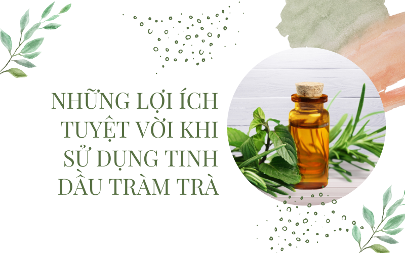 Những lợi ích tuyệt vời khi sử dụng tinh dầu tràm trà