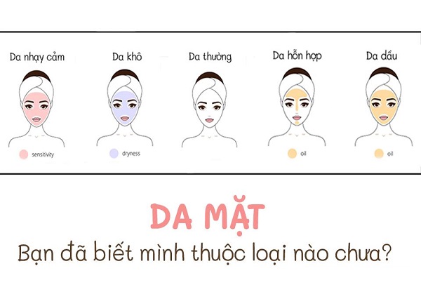 Phân biệt các loại da